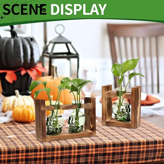 2+1 Plant Terrarium Plant Propagation Station Gifts for Father Halloween Skull Home Office Decor with Wooden Stand