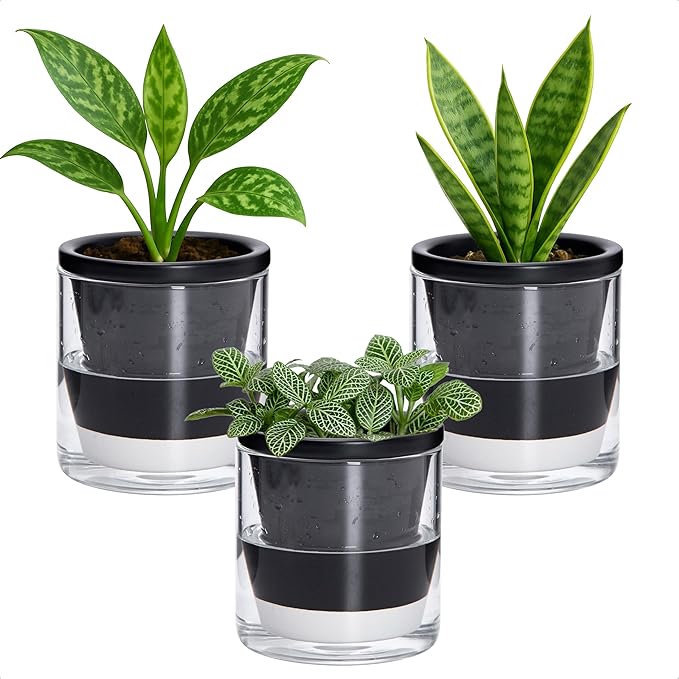 D'vine Dev 4 Inch Design Self Watering Planter for Indoor Plants, Black Terracotta Pot with Cylinder Glass Cup, Set of 3, 37-Z-A-3-T