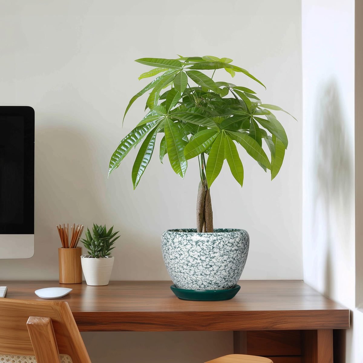 Thirtypot Ceramic Plant Pot, 6 Inch Planters Indoor, Crackle Green