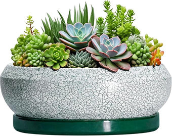 EPFamily Succulent Planters 10 Inch - Ceramic Bonsai Pots with Drainage Hole and Saucer, Large Succulent Pots Indoor, Shallow Planter, Round Bowl Planter Outdoor, Patio Decor, Plant Lover Gift, Green