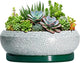 EPFamily Succulent Planters 10 Inch - Ceramic Bonsai Pots with Drainage Hole and Saucer, Large Succulent Pots Indoor, Shallow Planter, Round Bowl Planter Outdoor, Patio Decor, Plant Lover Gift, Green