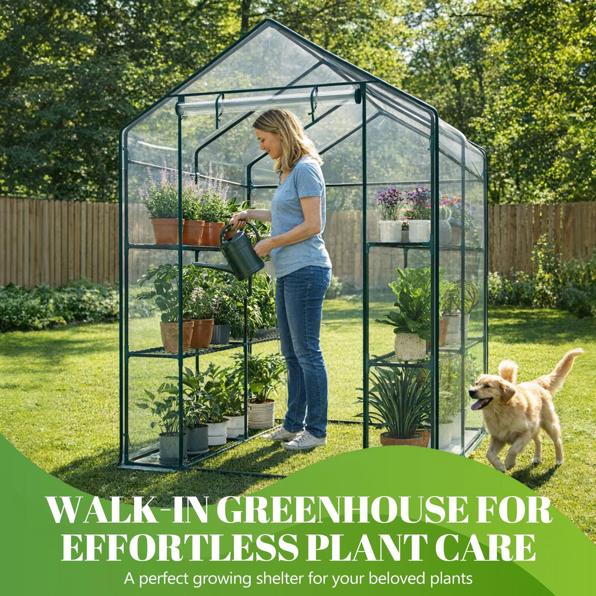 Sweetcrispy 56"x56"x77" Outdoor Greenhouse, with 2 Tier 8 Plant Shelves