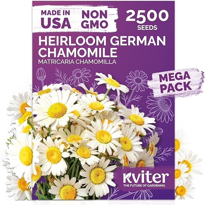 KVITER 2,500 German Chamomile Seeds for Planting (Matricaria Chamomilla/Recutita) – Heirloom & Non-Gmo Medicinal Herb Seeds, Flowers for Remedies & Chamomile Tea Organic – Indoors/Outdoors Herb Garden