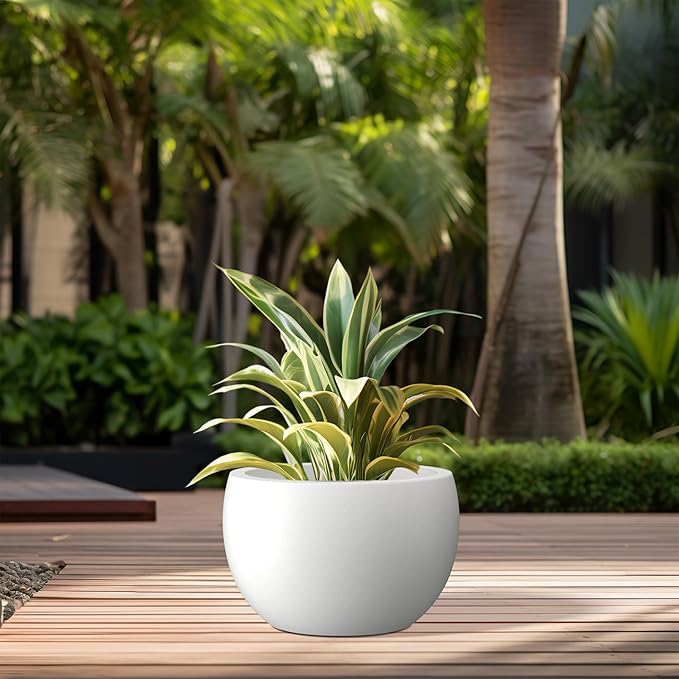 Kante 11.8" Dia Round Concrete Planter, Outdoor/Indoor Large Bowl Plant Pots with Drainage Hole and Rubber Plug for Garden Patio Balcony Home, Pure White