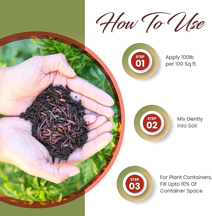 Worm Bliss (1 Qt) + Char Bliss (1 Qt) - Organic Worm Castings for Plants & Organic Biochar for Plants - Earthworm Castings Organic Fertilizer - Biochar Soil Amendment - Charcoal for Plants