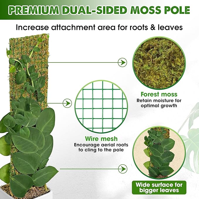 DUSPRO Flat Mesh Moss Poles for Climbing Plants Monstera Stackable Moss Pole for Plants with Real Moss Moss Plant Pole for Potted Plants Handmade Moss Stick for Indoor Plants Grow Upward 2 Pack 22”