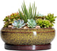 EPFamily Succulent Planters 8 Inch - Ceramic Bonsai Pots with Drainage Hole and Tray, Shallow Plant Pot Indoor Outdoor, Round Succulent Pots, Planter Bowl, Porch Decor, Housewarming Gifts, Yellow