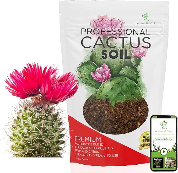 Professional Cactus Soil | Large 2.2 Quarts Ready to Use for Cactus Plants | Peat Moss, Coco Coir, Perlite, Dolomite | Made in USA