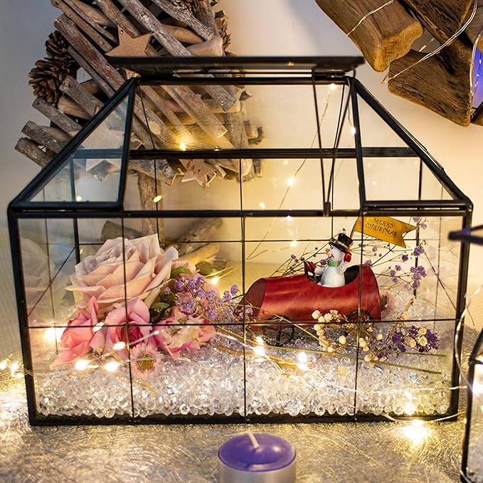 Ferrisland Glass Terrarium Greenhouse House Shape Display Box Planter for Succulents Plant Terrarium Container Mordern Tabletop Decor Gardern DIY Kit