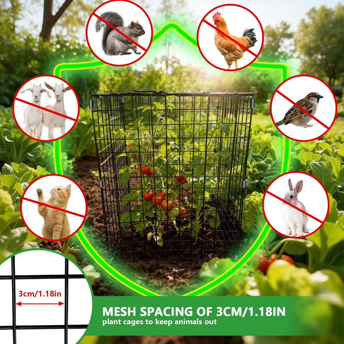 Metal Plant Cages for Outdoor Plants, Garden Cloches for Plants 4 Pack