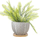 VanEnjoy 5.5 inch Large Round Bohemian Style Ceramic Planter, Geometry Engrave Off White Brown Succulent Planter Flower Pot, Indoor Outdoor Decorative Planter