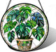 Stained Glass Window Hanging, Green Plant Monstera t Suncatcher Diamond Colorful Glass Panel Sun Catchers Decor for Birthday for Women, Men, Wife, Aunt, and Mom 11.8x11.8 in
