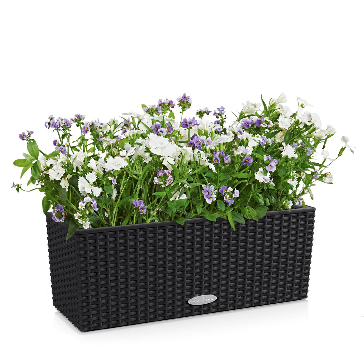Lechuza BALCONERA Cottage 50 Graphite Black, Self-Watering Window Box (Railing Planter), H7.5 L19.7 W7.5 in
