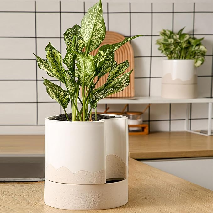 Nihow Self Watering Plant Pot: 8 Inch Ceramic Planter with Drainage Hole & Water Storage Plus for Indoor & Outdoor Plants - Cylinder Round Flower Pot for Succulent/Herbs/Violets - White & Wave Nature