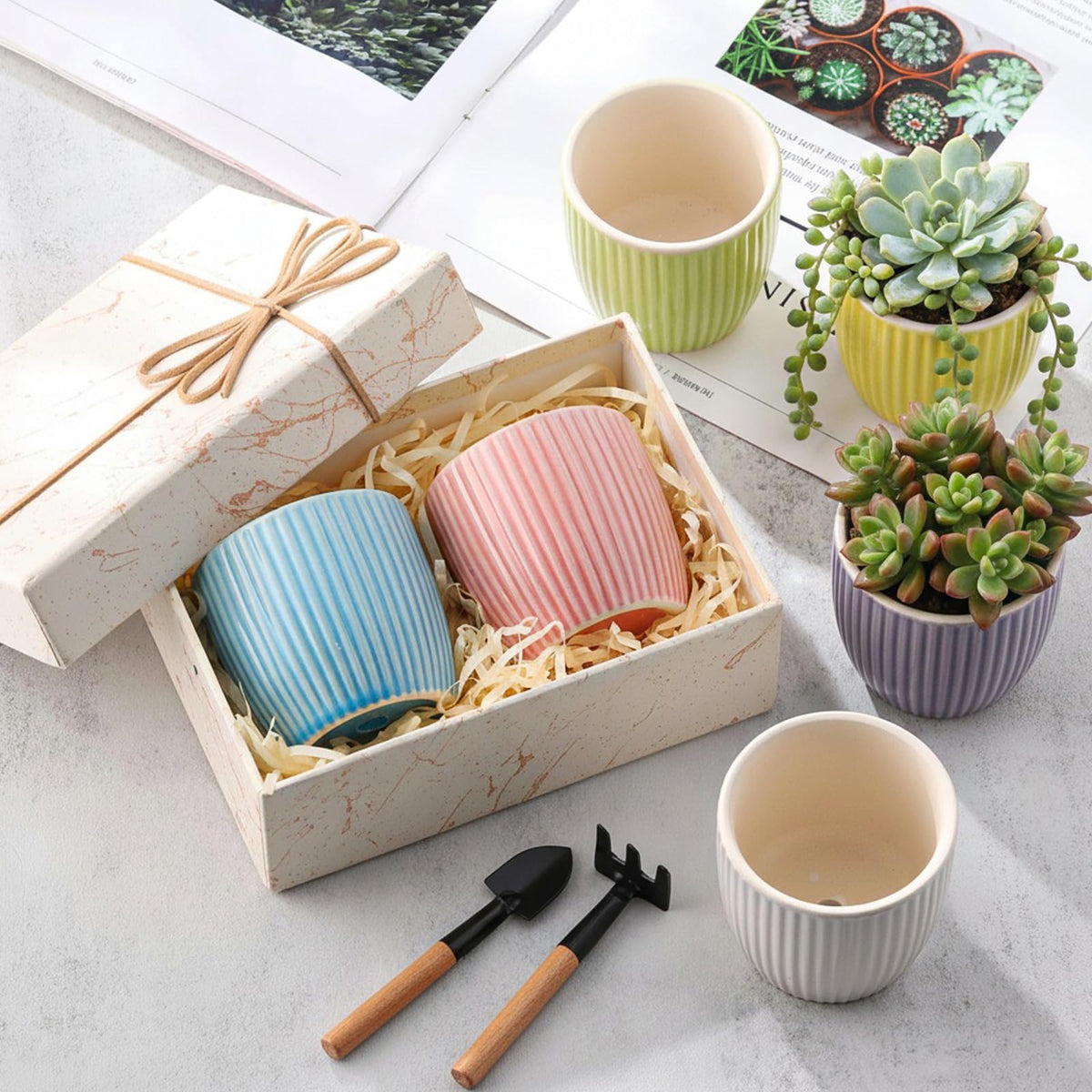 Ferrochef 24 Pcs 2.7 Inch Small Succulent Plant Ceramic Pot with Drainage Hole, Cute Mini Succulent Pots for Plants, Succulents, Cactus, DIY Easter Spring Craft Activity, 6 Colors(Vertical Stripes)