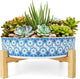 ARTKETTY Succulent Pots - 11 Inch Large Plant Pots Ceramic Bonsai Pots with Drainage Stand, Shallow Succulent Planters for Indoor Plants Decorative Flower Cactus Planter Bowl