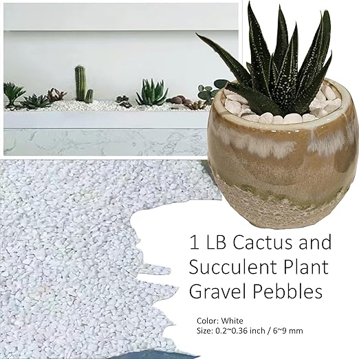 1LB Natural Gravel Pebbles, Cactus and Succulent Plants Pebbles, Small Decorative Polished Stones, White River Rocks for Potted Plants, Vases, Aquariums, Terrarium and Outdoor Gardening