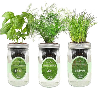 Environet Hydroponic Herb Growing Kit Set, Self-Watering Mason Jar Herb Garden Starter Kit Indoor, Windowsill Herbs Garden, Grow Your Own Herbs from Organic Seeds (Basil, Dill, Chives)
