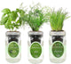 Environet Hydroponic Herb Growing Kit Set, Self-Watering Mason Jar Herb Garden Starter Kit Indoor, Windowsill Herbs Garden, Grow Your Own Herbs from Organic Seeds (Basil, Dill, Chives)