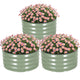 TECANA 3-Pack Round Raised Garden Bed Outdoor 2x2x1ft Planter Box, PeaGreen