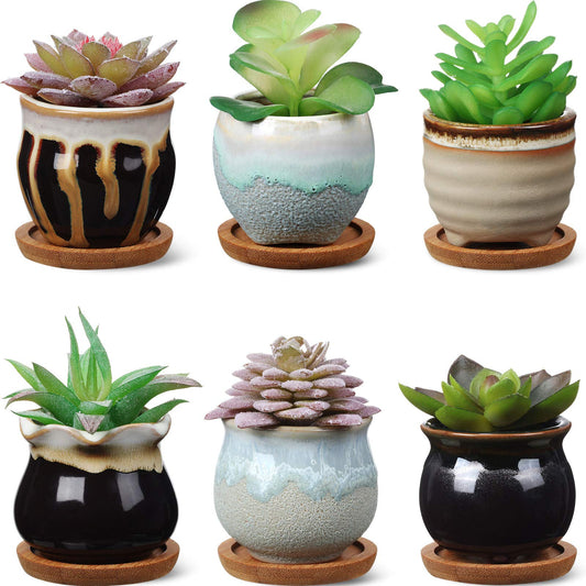 BBTO 6 Set Mini Succulent Pots with Drainage and Bamboo Tray 2.9 x 3.1in