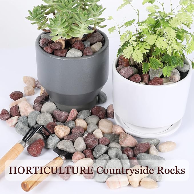 Ausluru 5lbs Natural River Rocks, Polished Pebbles for Plants Garden, 1-2 inch Decorative Countryside Stones, Ideal for Fish Tank, Vases, Crafting, Garden Landscaping Rocks,Countryside