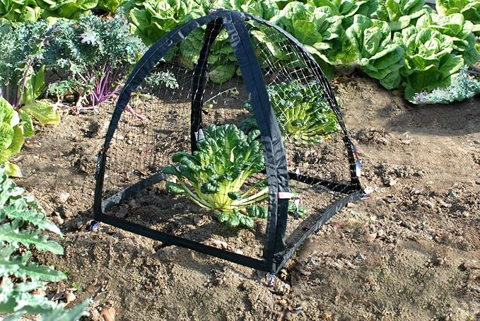 NuVue Products 32102 Pop-Up Garden Netting Pest Guard Covers with Ground Spikes, Mesh Plant Cover Tents for Pest and Animal Control, Pack of 2, Black, 28" x 28" x 30"