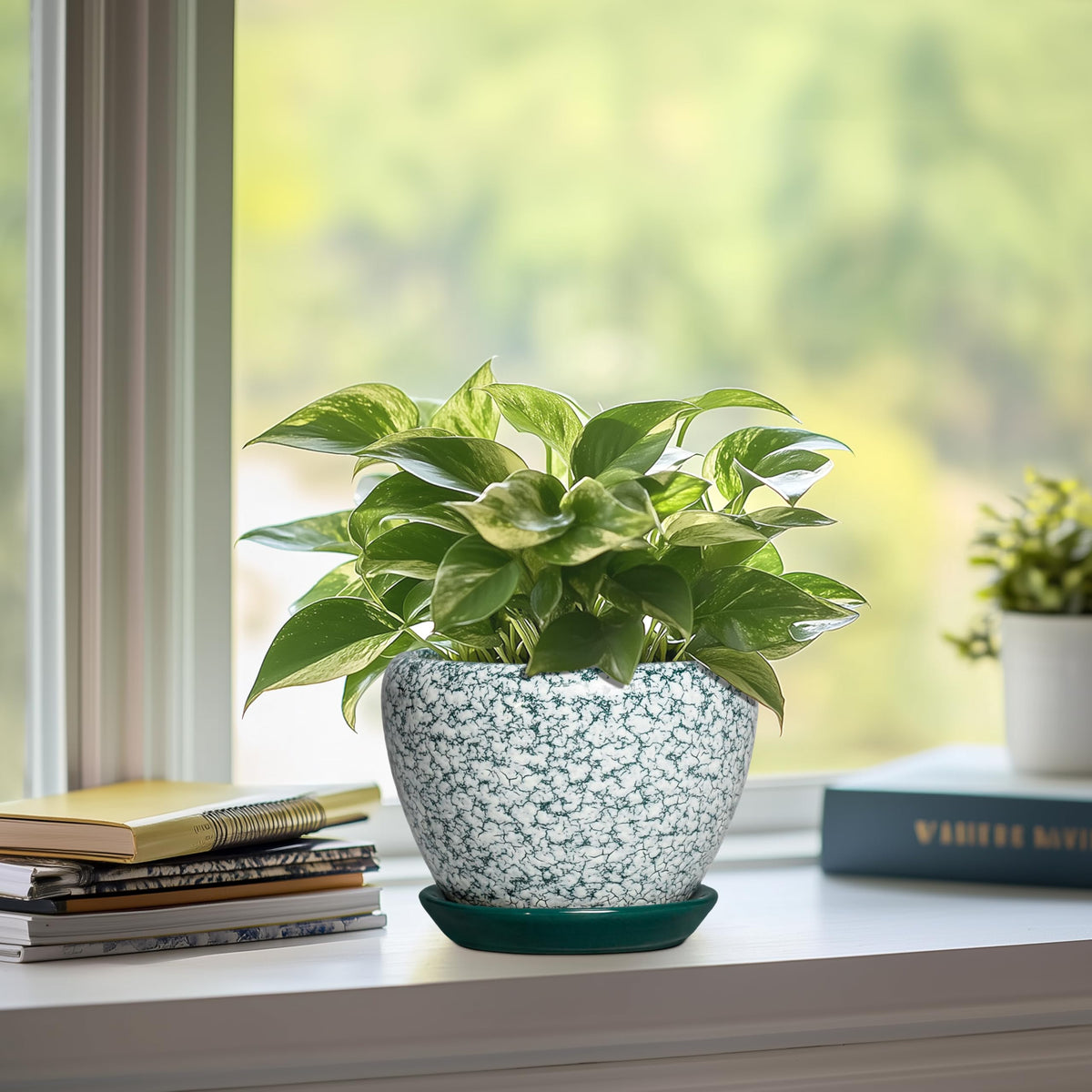 Thirtypot Ceramic Plant Pot, 6 Inch Planters Indoor, Crackle Green