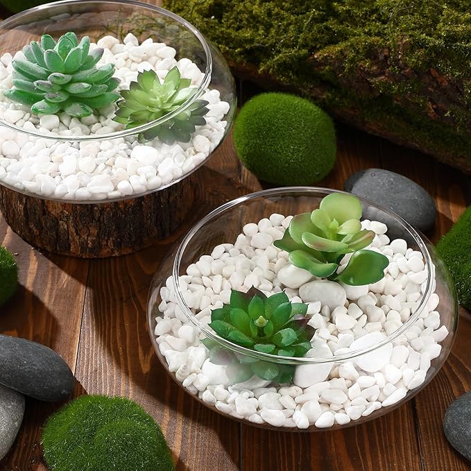 Baderke 6 Pcs Hydroponic Planter Lotus Flower Pot Planter Lotus Bowl Clear Glass Fish Bowl Vase for Planting Indoor Home Decor Water Lily Narcissus Planting Water Lily (7.09in)