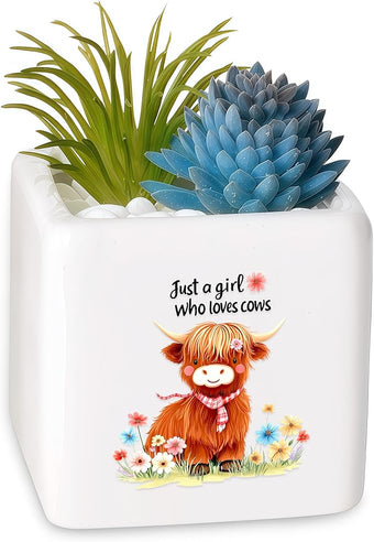 BJDAMAI Highland Cow Succulent Planter Flower Plant Pot Small, Gifts for Women Teens Girls Kids, Cow Lovers Themed Stuff Accessories Things Decor Merch, Home Office Table Desk Decoration!