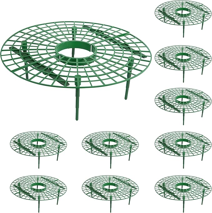 Iceyyyy 10 Pack Strawberry Plant Support - Large Size Strawberry Growing Racks - Strawberry Growing Frame for Keeping Garden Strawberry Clean