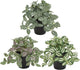 Hollyone Fake Plants 3 Packs Artificial Plants Indoor Faux Plants with Black Plastic Pot Small Fake Potted Plant for Home Aesthetic Living Room Bathroom Desk Shelf Office Decor