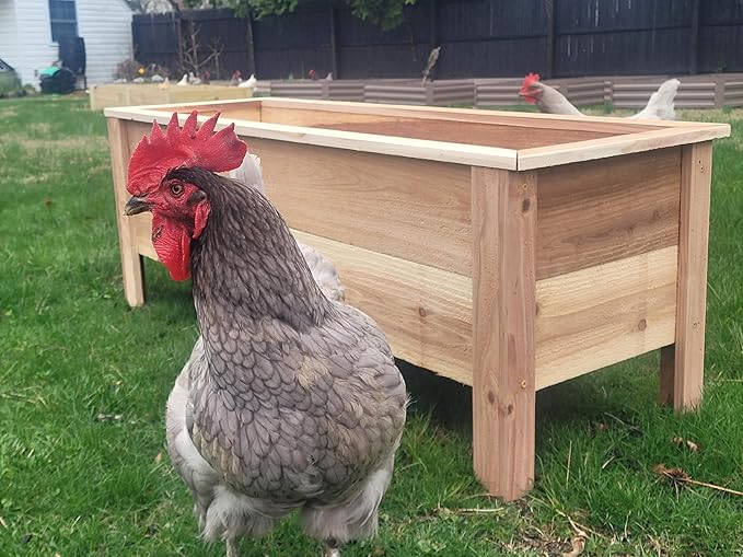 Cedar Raised Garden Bed Planter Box with Legs – Heavy Duty Outdoor Wooden Planter for Vegetables & Flowers, No Bending Elevated Design, Custom Size, Handmade in USA (60in x 15.5in x 16in)