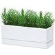 D'vine Dev 12 Inch Window Box Planter, Rectangle Plastic Herb Planter with Drainage Holes and Saucer, Indoor Succulent Cactus Vegetable Pot for Windowsill, Garden Balcony, White, Set of 1, 76-X-A-1