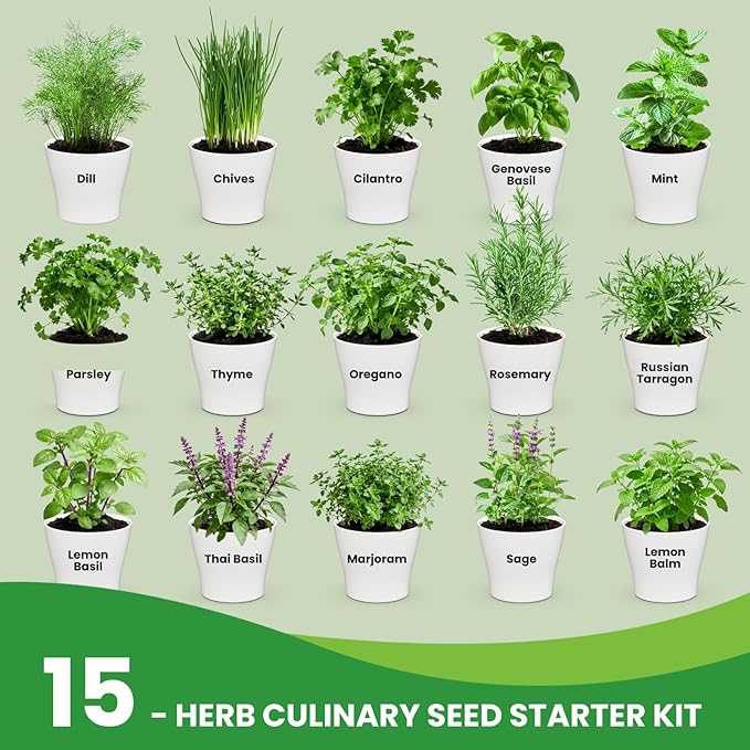 15 Herb Indoor Garden Kit Starter - Fruivity 12800+ Non-GMO Seeds with Genovese Basil, Mint, Parsley - Complete Windowsill Planter Set for Fresh Herbs, Unique Gift for Home Chefs, Women & Family