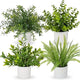 Hollyone 4 Pack Artificial Potted Plants Eucalyptus Rosemary Boston Fern ZZ Plant Fake Plant in Pot Small Faux Plant Greenery Aesthetic Indoor Home Decor Bathroom Bedroom Table Shelf Office