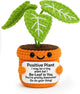 TKGIFTHOT Crochet Positive Plant Inspirational Gifts for Women Coworker Plant Lovers Friends Home Office Gifts Desk Decor Handmade Knit Potted Bookshelf Decorations