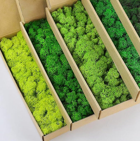 prefleur Preserved Reindeer Moss Natural Green DIY Kit Gardenning Art Wall Decor Florist Decor Easter Table Decor Wedding