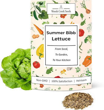 Summer Bibb Heirloom Lettuce Seeds for Planting - Over 2,700 Non-GMO Seed Pack for Growing Indoors, Outdoors, or as Hydroponic Seeds - Beginner-Friendly Green Leaf Lettuce Seed | Woods Creek Seeds