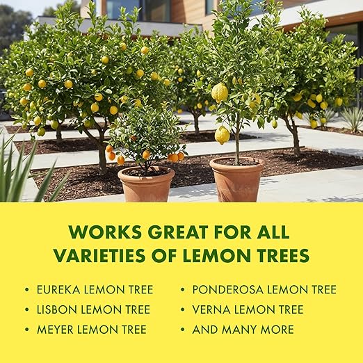 Lemon Tree Fertilizer for Lemon Trees and Citrus, Liquid Plant Food, 1 Gallon (128 oz)
