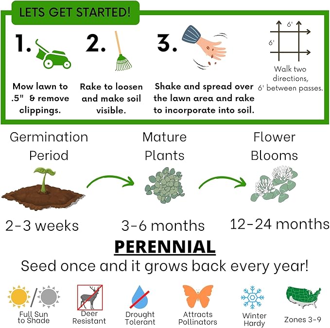Flawn Seed Kits White Dutch Clover Seed, 1 Lb, Organic Coated, Natural Lawn, Ground Cover, Hunting Food Plot, Covers up to 3,600 Sqft