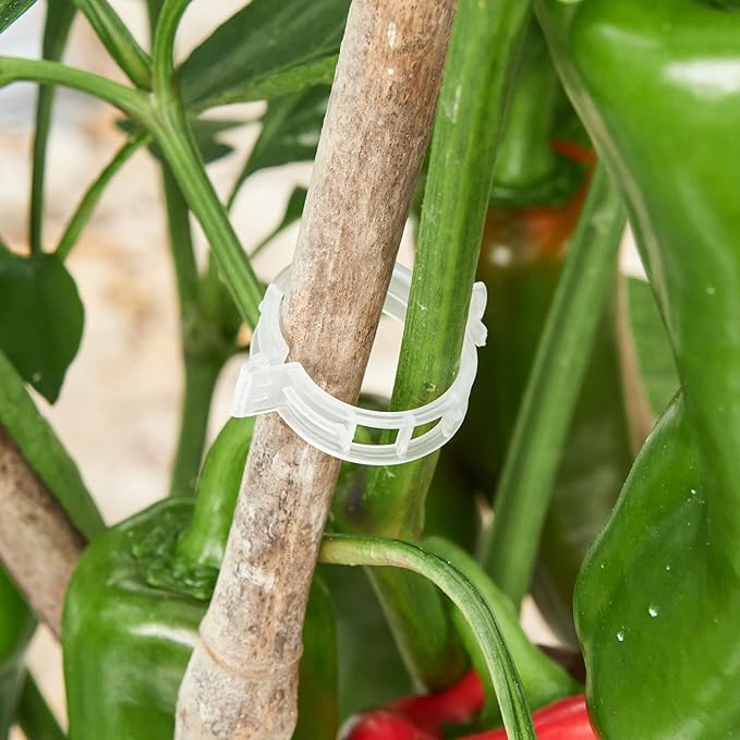 100 Pcs Plant Support Clips,Plastic Clips for Securing Plants,Tomato Vine Clips,Plant Fixing Clips,Garden Clips for Climbing Plants,Grape and Vine Vegetables (100, White)