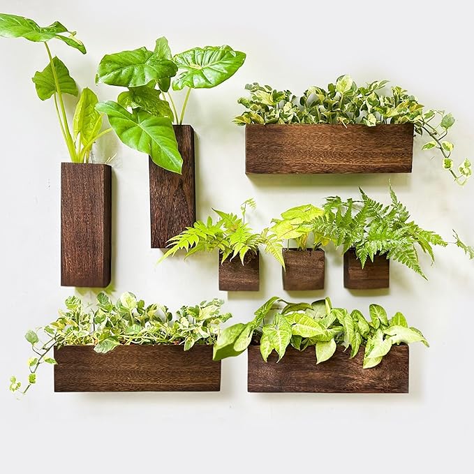 LaLaGreen Wood Planter Box for Plants (8 Pack) Wooden Wall Hanging Planters for Indoor Plant Holder Vase for Dried Flowers, Modern Country Rustic Wall Decor Living Room Bedroom Office Home Garden