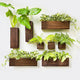 LaLaGreen Wood Planter Box for Plants (8 Pack) Wooden Wall Hanging Planters for Indoor Plant Holder Vase for Dried Flowers, Modern Country Rustic Wall Decor Living Room Bedroom Office Home Garden
