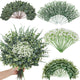 Faylifeway 240 Pcs Artificial Eucalyptus & Baby Breath Greenery Stems