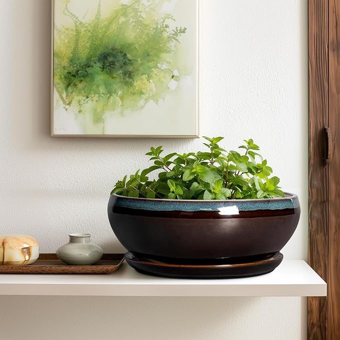 SQOWL Bonsai Planter 12 Inch - Ceramic Succulent Pots Large, Round Shallow Plant Pots Indoor with Drainage Hole and Saucer, Bowl Planter Outdoor for Flower, Room Decor, Housewarming Gifts, Blue-Brown