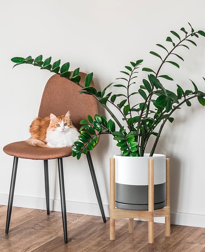 D'vine Dev Ceramic Planter with Natural Stand - 10 Inch Modern Round Flower Pot with Wood Planter Holder, White/Grey, 55-B-K-6