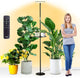 chiphy 69" Full Spectrum Grow Light for Indoor Plants, 40W Tall Plant Lights with Tray, 4/8/12H Timer, 10 Level Dimmable Brightness, Heights Adjustable, Remote Control, Ideal for Large Tall Plants