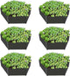 A ANLEOLIFE 6 Set Hexagon Galvanized Raised Garden Beds Outdoor,70x60x18in Metal Planter Box for Planting Vegetables Flowers Herb, Anti-Rust & Easy-Setup, Quartz Grey