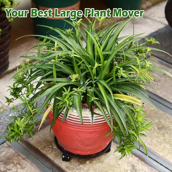 11 Inch Rolling Plant Stand with Wheels Wrought Iron Rolling Plant Stand with Casters Heavy Duty for Indoor Plants Rollers with Plant Saucers, Metal Round Plant Dolly 1 Pack